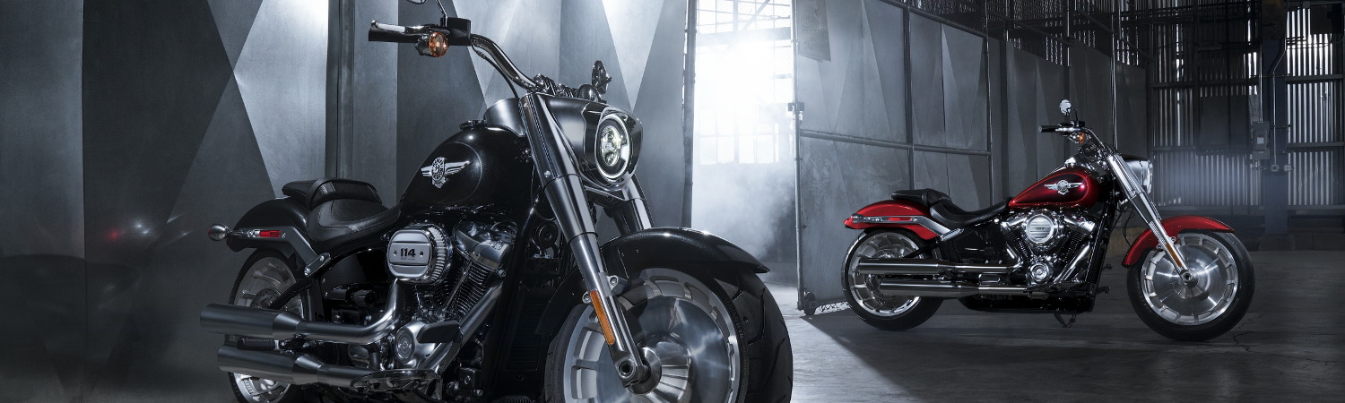2022 Harley-Davidson® for sale in Chicago Harley-Davidson®, Rosemont, Illinois